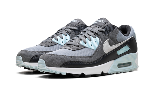 Air Max 90 "Pumice" DM0029 009
