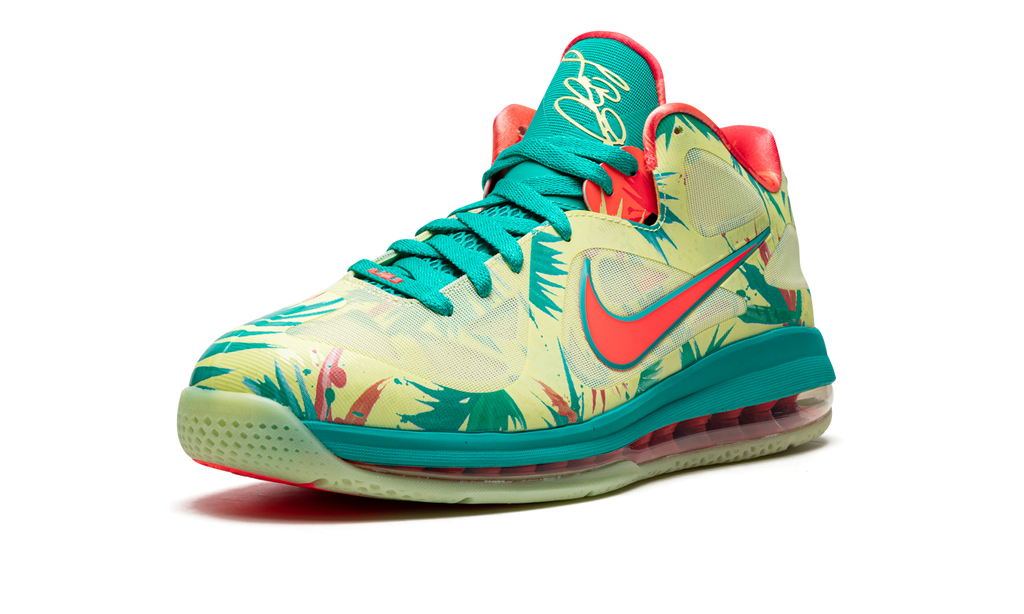 LeBron 9 Low "LeBronald Palmer" DO9355 300