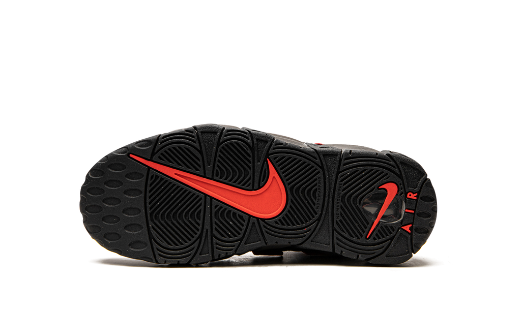 Air More Uptempo GS "Brown Bulls" DH9719 200