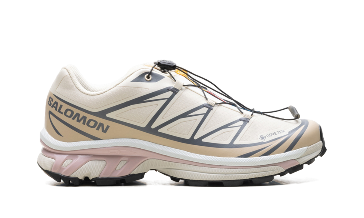 XT-6 GTX "Almond Milk Mauve" L47581200