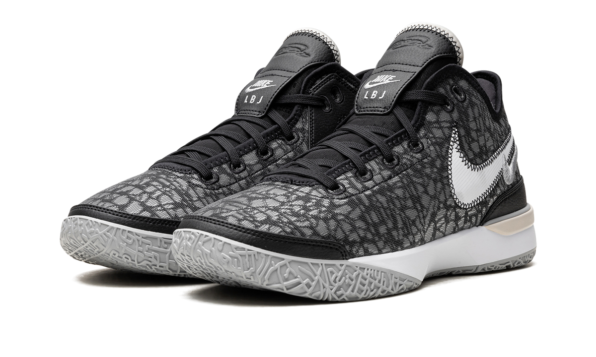 Zoom LeBron NXXT Gen "Black / Wolf Grey" DR8784 005