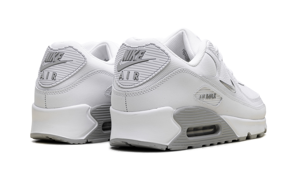 Air Max 90 "Jewel Light Smoke Grey" FN8005 100