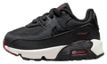 Air Max 90 LTR TD "Anthracite Team Red" CD6868 022