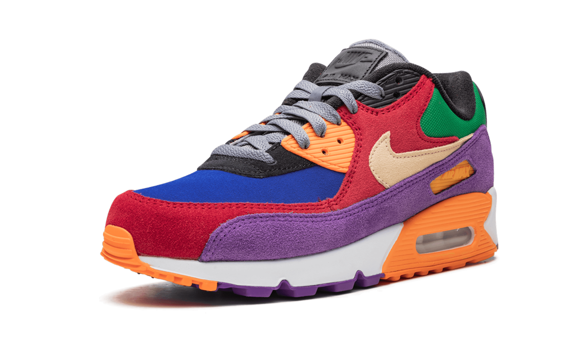 Air Max 90 "Viotech" CD0917 600